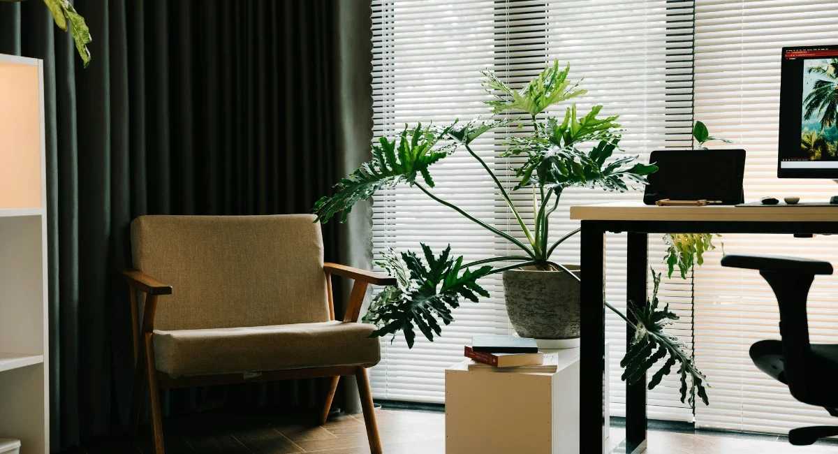 23 - Professional Cleaning Service in Nashville, TN by Super Cleaning Solution