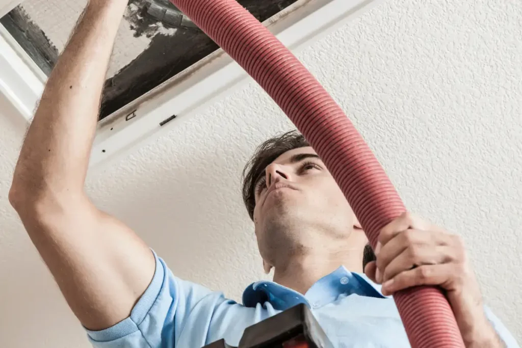 124.webp - Professional Cleaning Service in Nashville, TN by Super Cleaning Solution